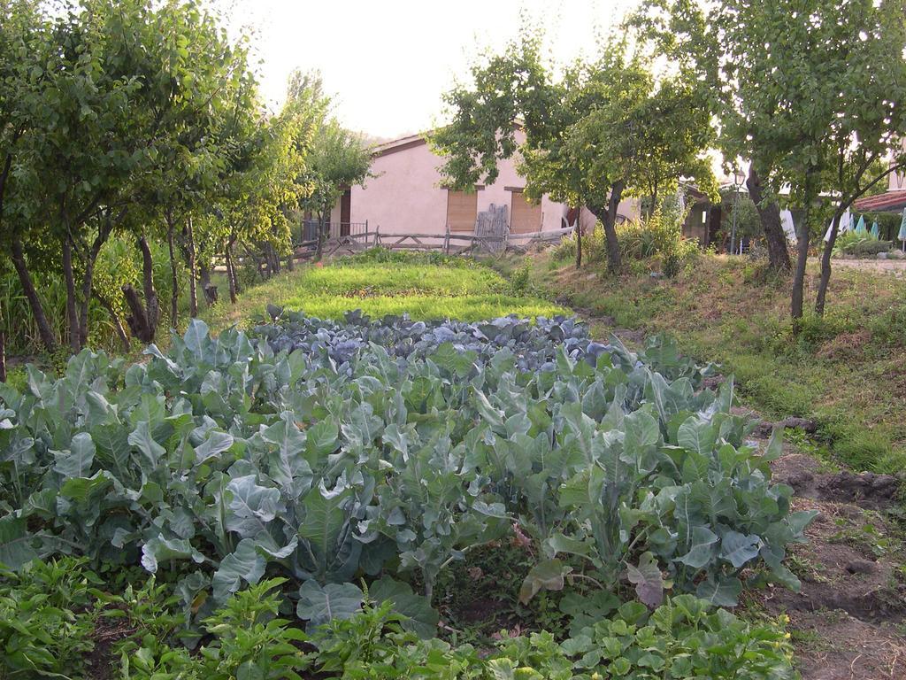 La Huerta De San Lorenzo Hotel Сеговия Екстериор снимка